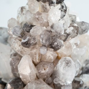 CSP25_TQC_05_1024x1024