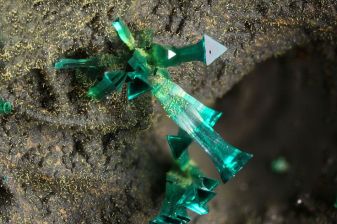 c59a8edb5dc7c9bb12bbd34f1617c26b