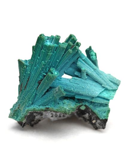 c886c32c76f78239ada536cd0b1bfdee